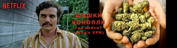 МДПВ Нефтегорск
