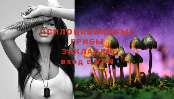 МДПВ Нефтегорск