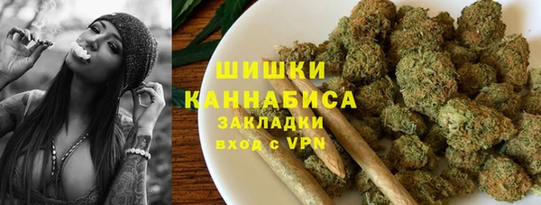 МДПВ Нефтегорск