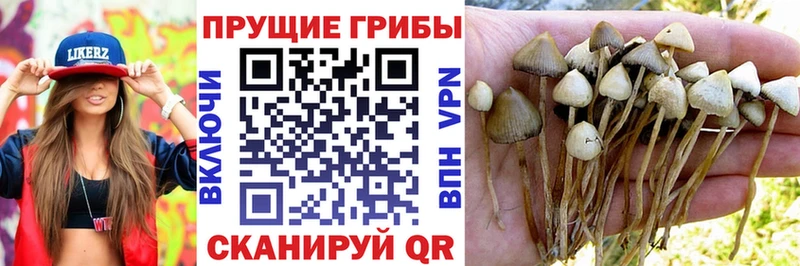 Галлюциногенные грибы Magic Shrooms  Ялуторовск 